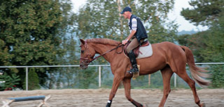 Gang- & Taktprobleme