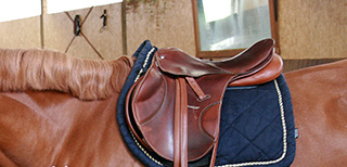 kein Sattel passt richtig