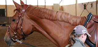 Problem Halswirbelsäule