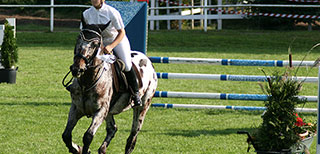 schiefer Reiter/schiefes Pferd